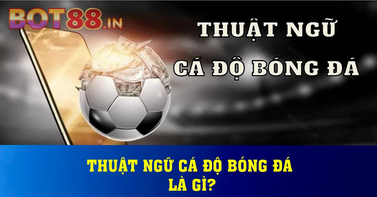 Các thuật ngữ cá độ bóng đá có nghĩa là gì?