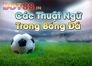 Các Thuật Ngữ Cá Độ Bóng Đá