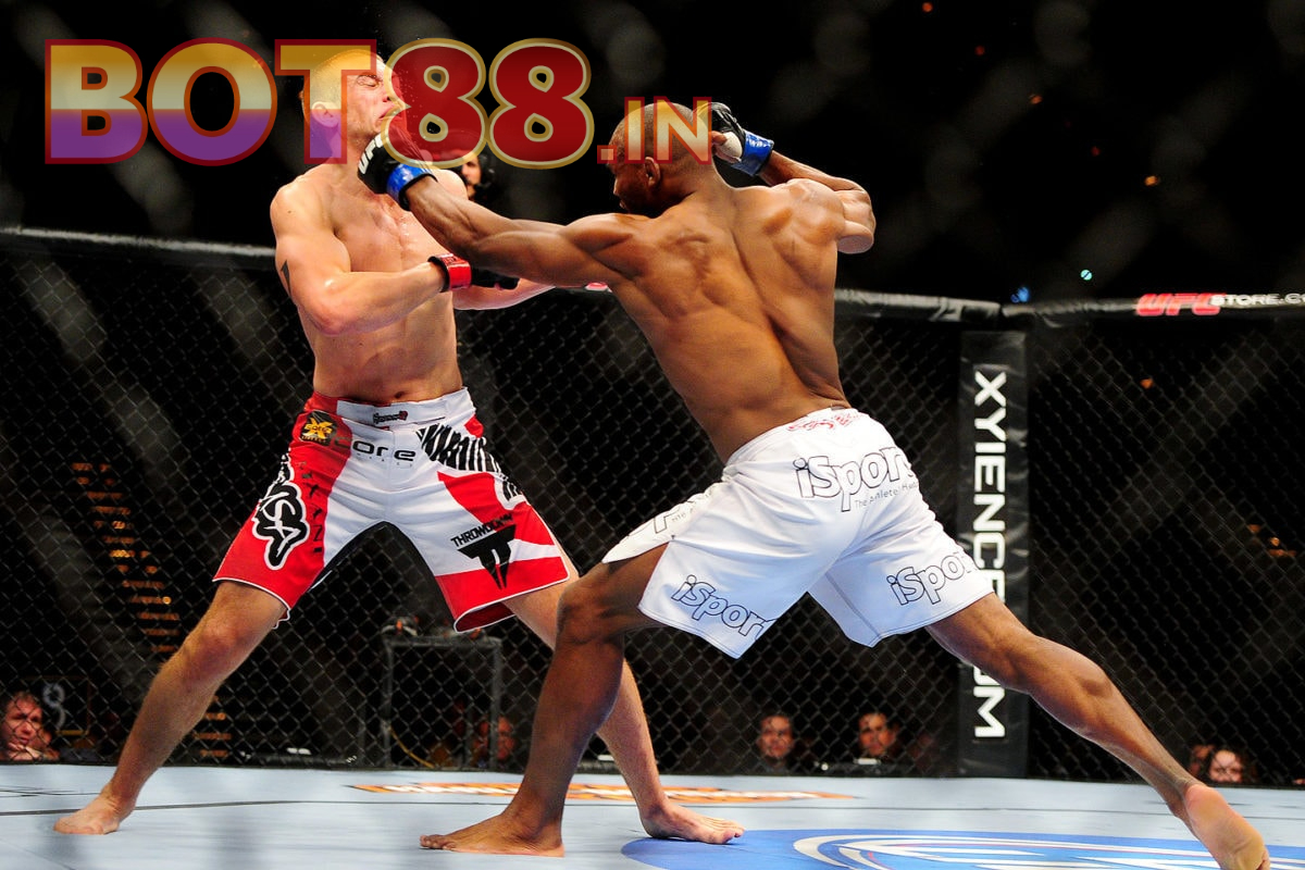 Cá Cược Quyền Anh là gì?