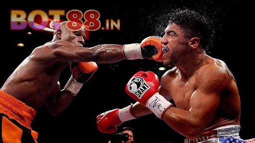 Bí kíp chinh phục các kèo Cá Cược Quyền Anh