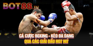 Cá Cược Quyền Anh